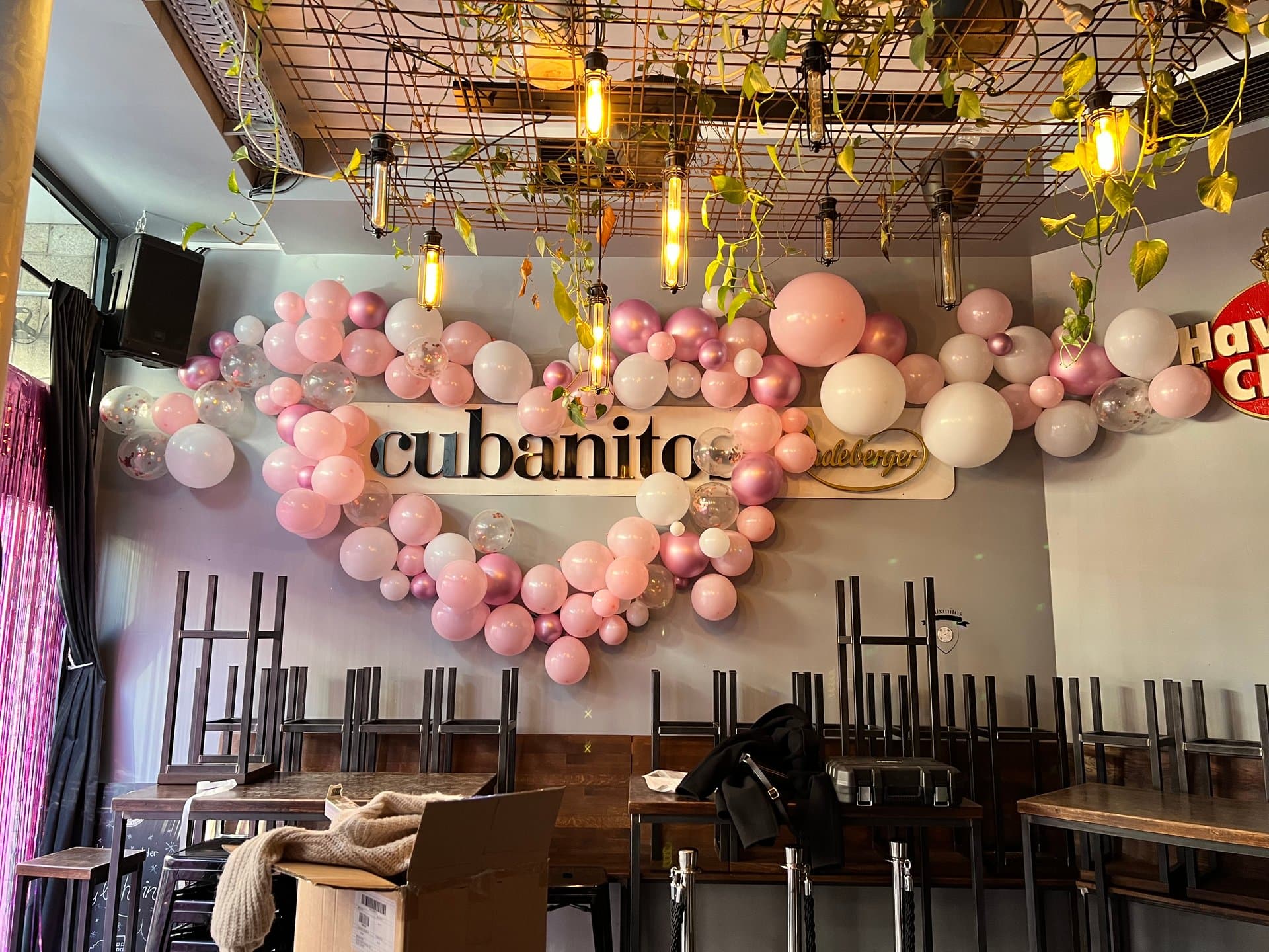 Cubanitos Galerie 14